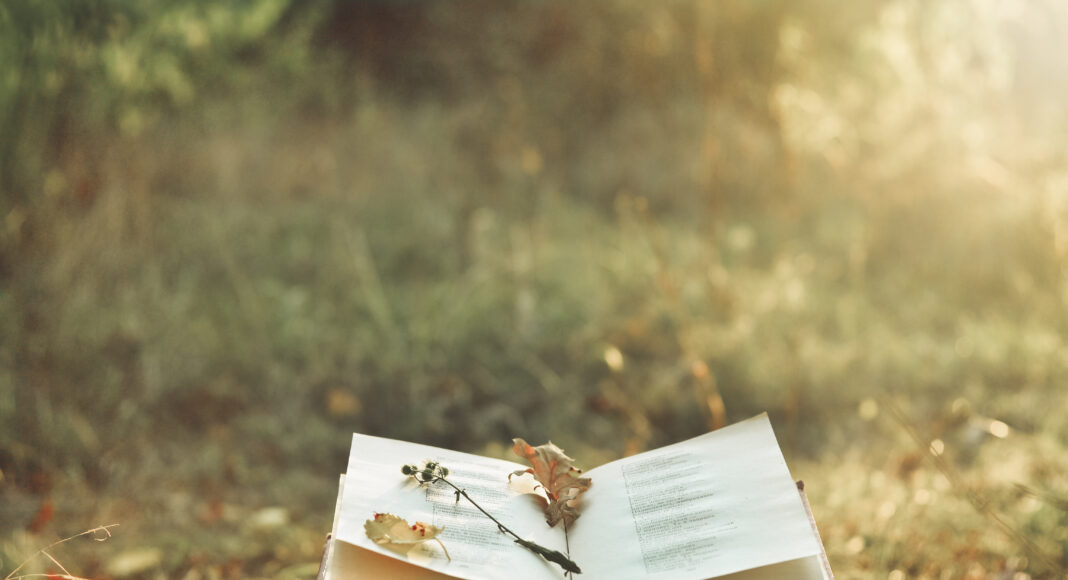 Santa Clara County Youth Poet Laureate