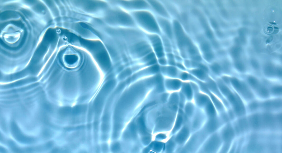 University of California, Santa Cruz