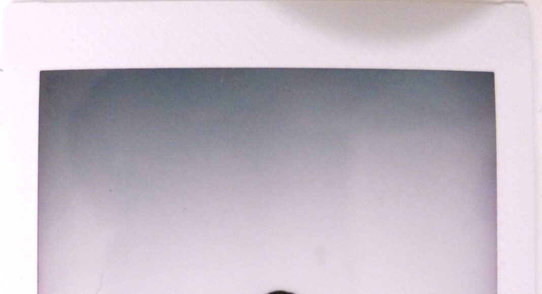 Jamie Stewart, Anything That Moves