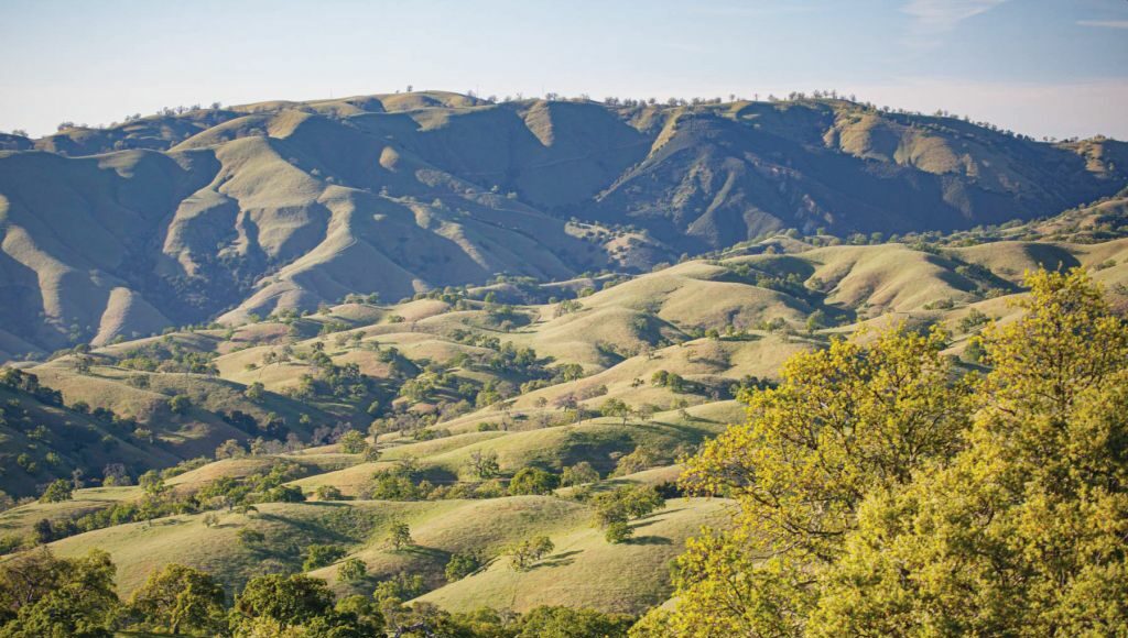 news, local news, events, community, Silicon Valley, San Jose