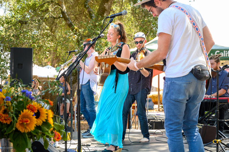 kaitlin gemma live music gravenstein apple fair