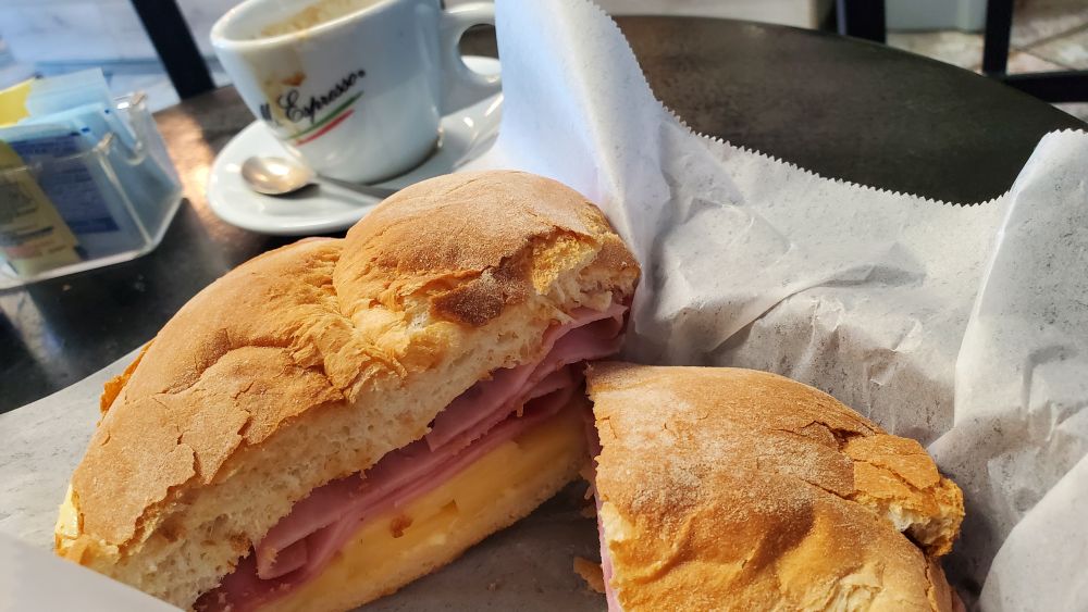 Portuguese, Silicon Alleys, Inside Cafe do Canto, Portugal, dog-friendly, dog friendly, German Shepherd, Azores, Alum Rock Corridor