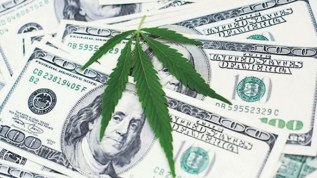 280E, 280E Tax Code, NCIA, legal, legalize cannabis, cannabis, business, National Cannabis Industry Association, reforming bill,