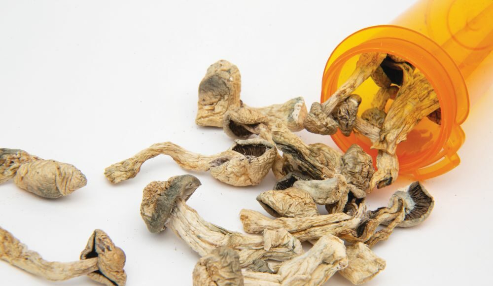 Newsom, mushrooms, psilocybin, legalization, California, SB-58