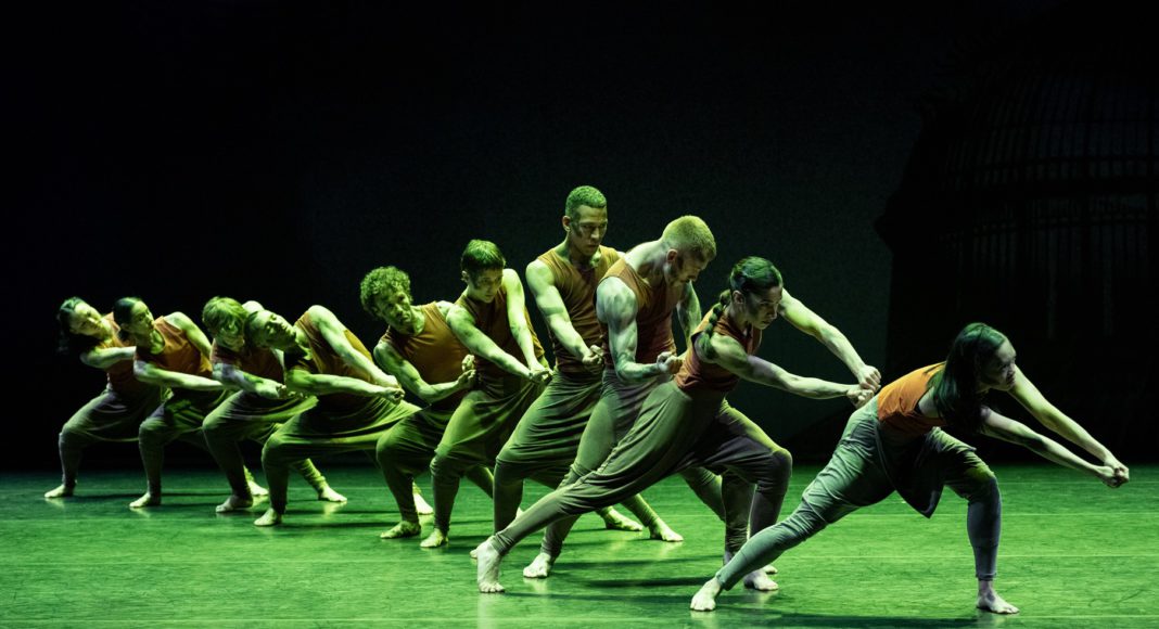 Jungle Book Reimagined at Stanford