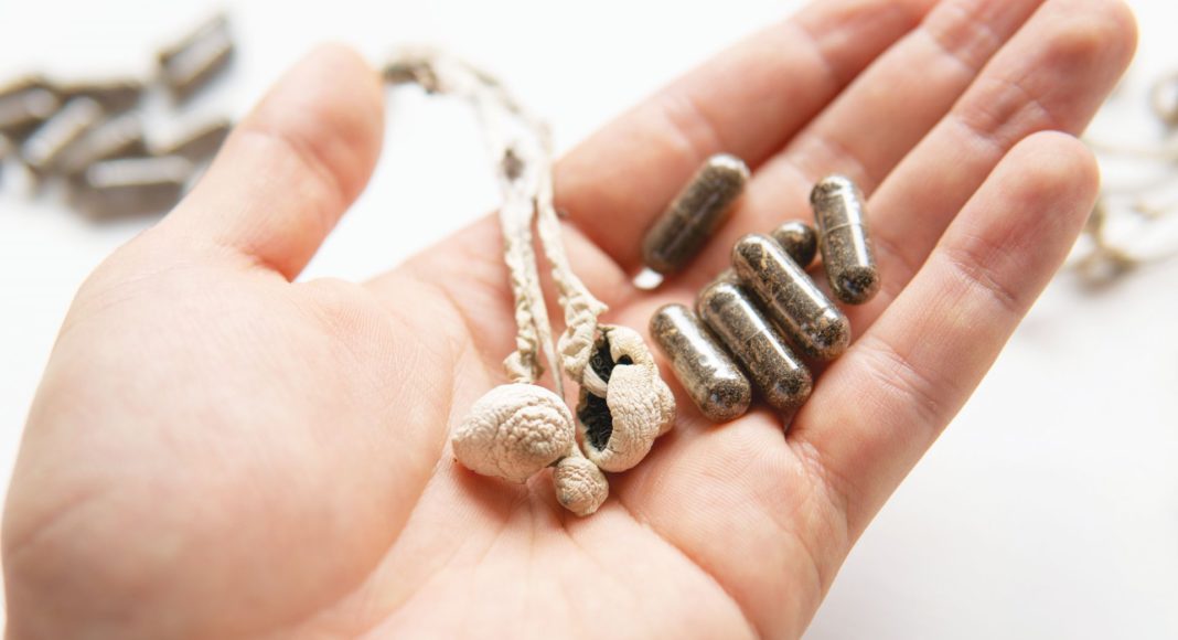 psychedelics, shrooms, chronic, cannabis