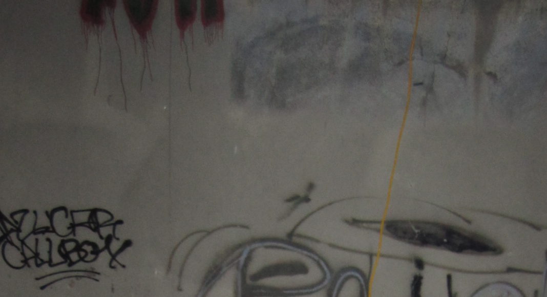 Miya Lowe in San Jose