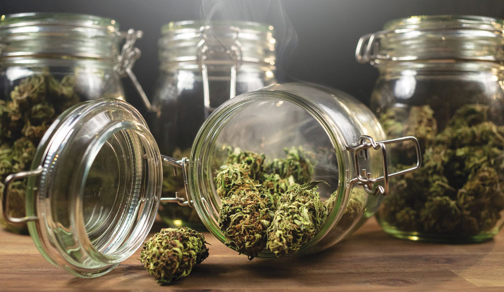 Glass jars on a table, one on its side with marijuana buds spilling out