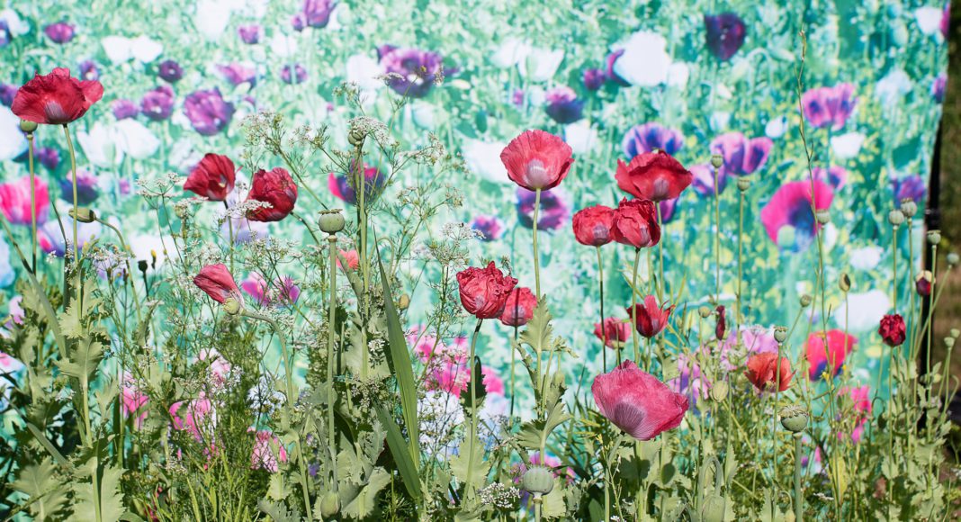 The Imaginative Landscape in San Jose