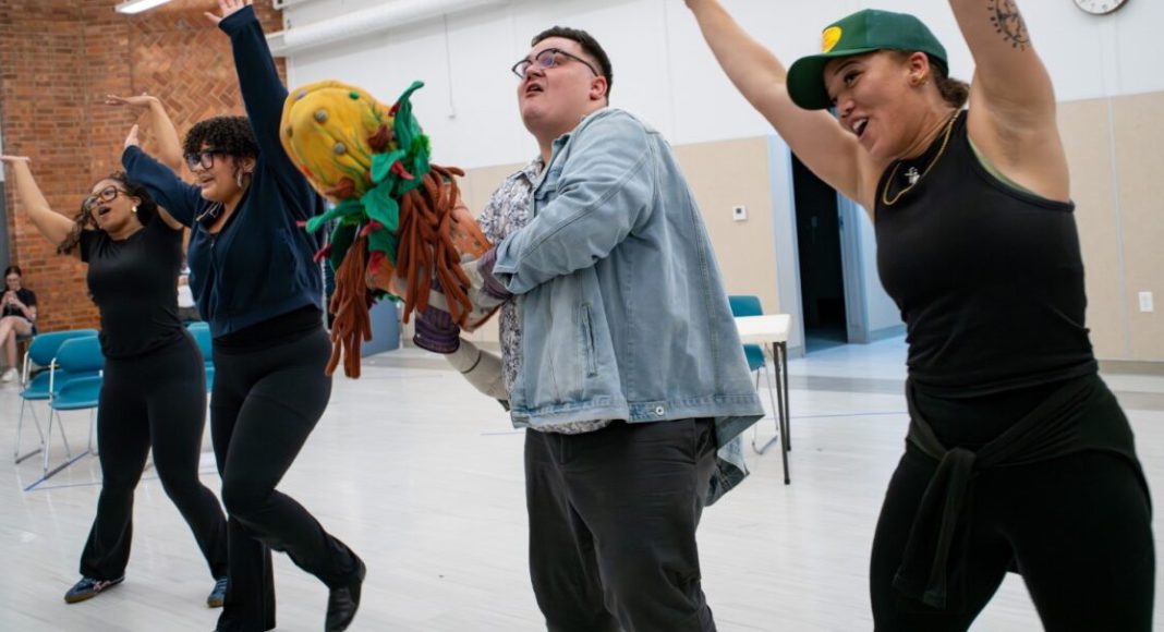 Little Shop of Horrors in Sunnyvale