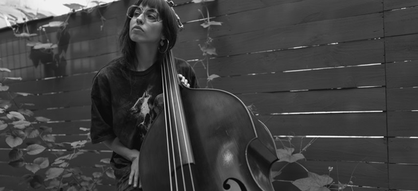 Sugarcane at Stanford