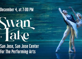 Swan Lake in San Jose